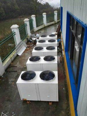 重庆某屠宰场用热水